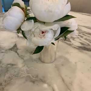 Meet your Posher, Kira